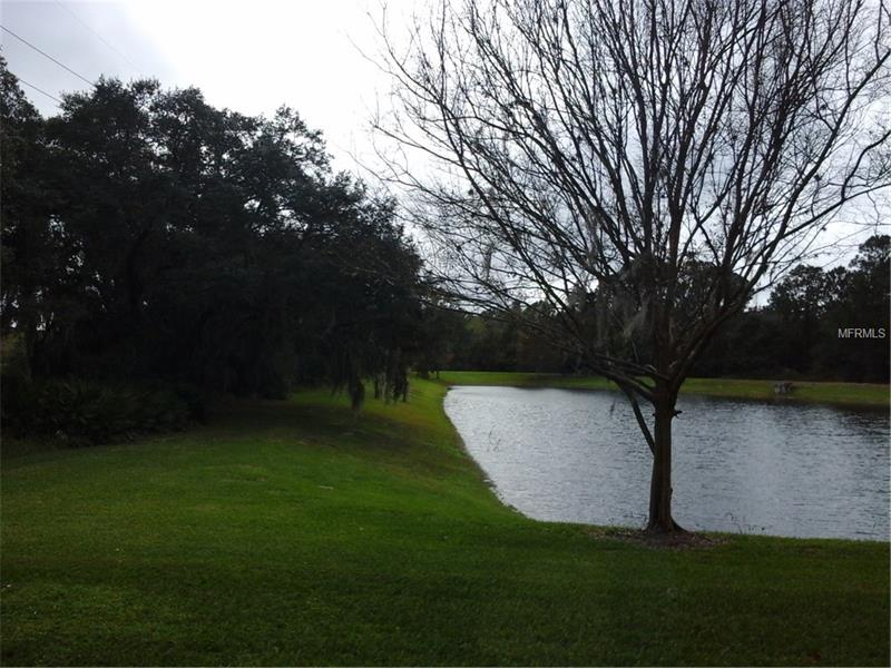 8525 CRYSTAL COVE LOOP, Kissimmee, FL 34747