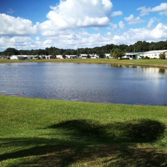 Spanish Village25803 Alicia DrLeesburg, FL 34748