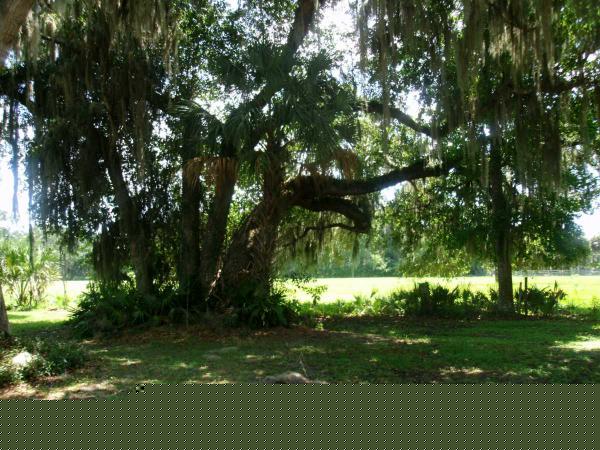 Hickory Hollow Estates2680 MAIN STREETLeesburg, FL 34748