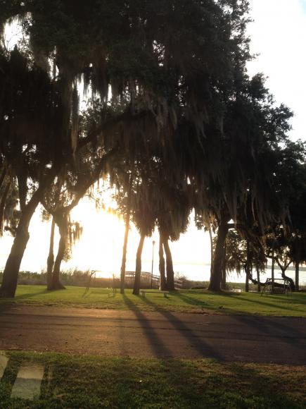 Leesburg Lakeshore Mobile Home Park1208 Lee St # 184Leesburg, FL 34748
