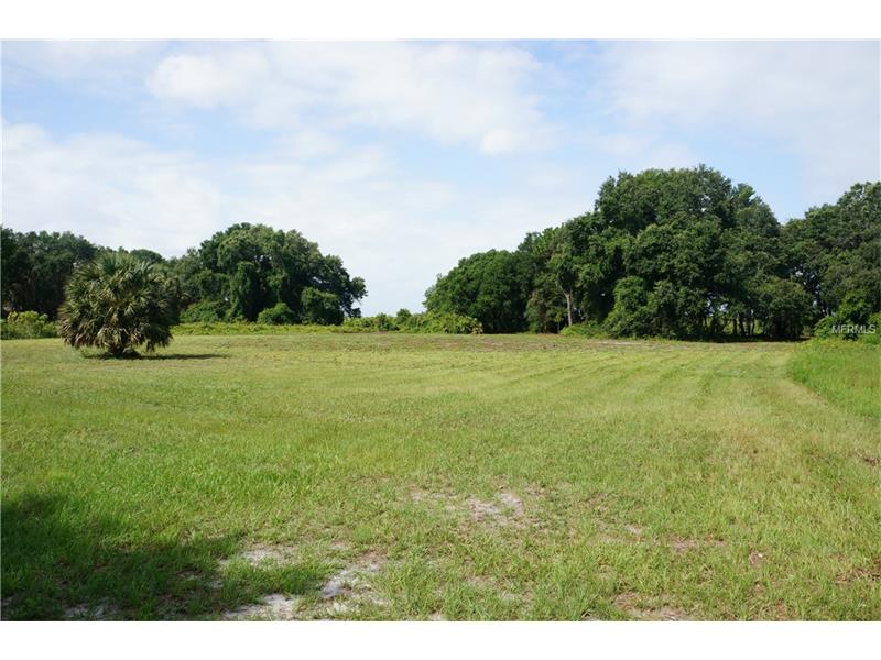 COUNTY RD 452 LOT 8, Leesburg, FL 34748