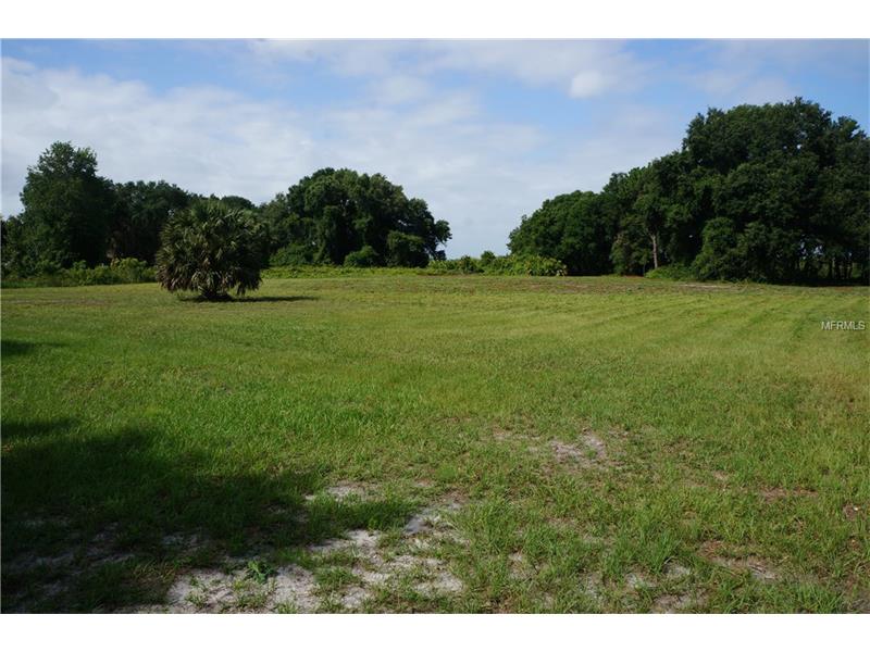 COUNTY RD 452 LOT 8, Leesburg, FL 34748