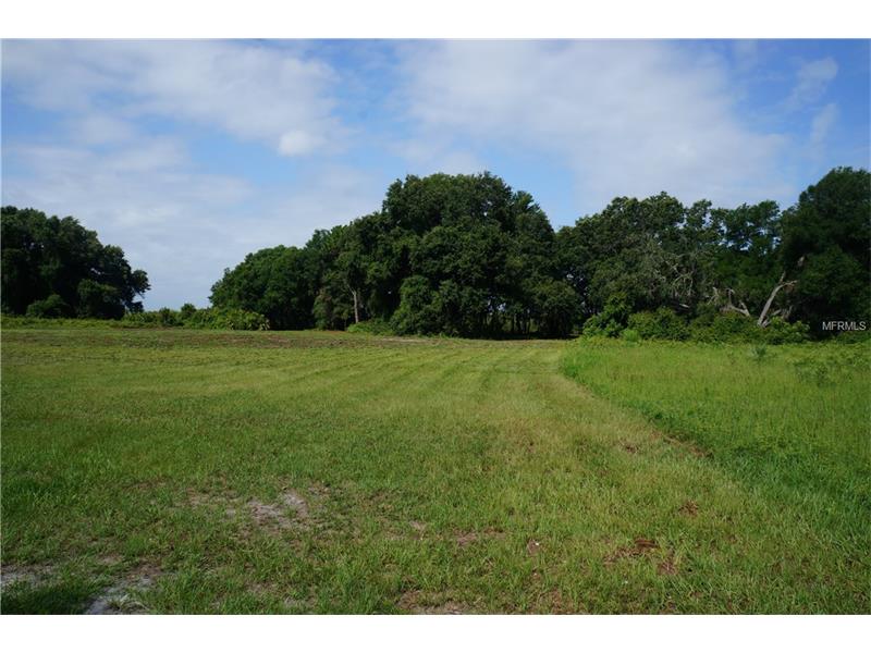 COUNTY RD 452 LOT 8, Leesburg, FL 34748
