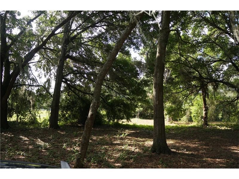 COUNTY RD 452 LOT 8, Leesburg, FL 34748
