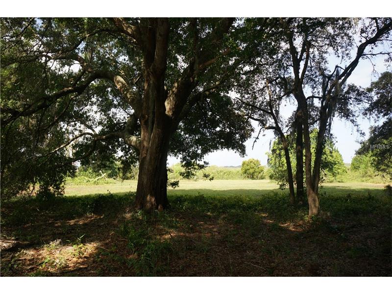 COUNTY RD 452 LOT 8, Leesburg, FL 34748