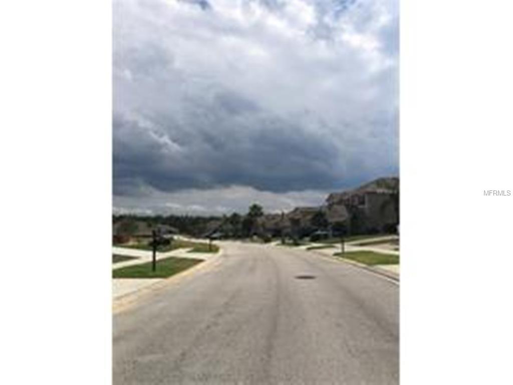 5629 Windsong Oak Dr, Leesburg, FL 34748