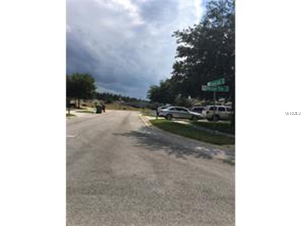 5629 Windsong Oak Dr, Leesburg, FL 34748
