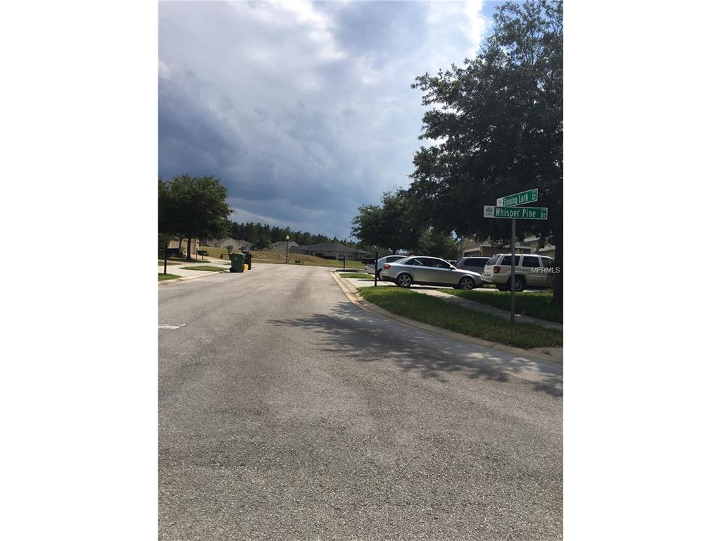 5807 Windsong Oak Dr, Leesburg, FL 34748