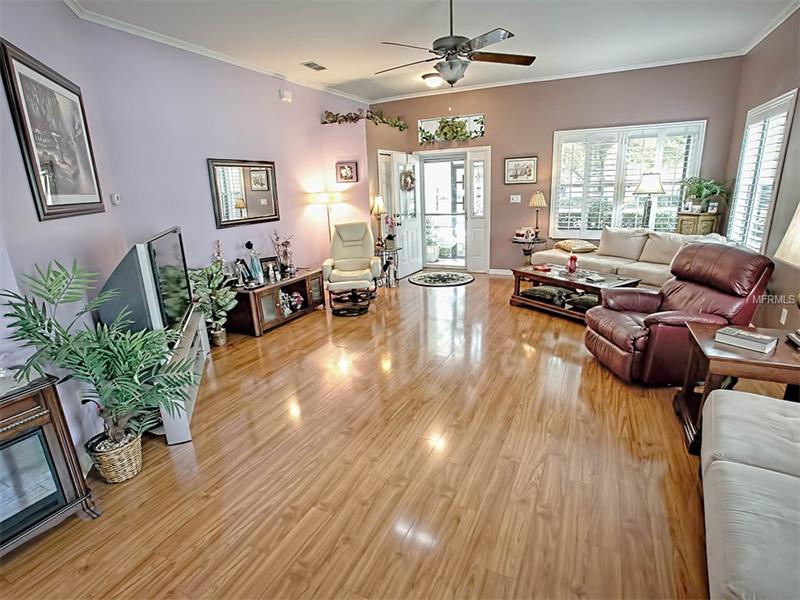 3515Mount Hope, Leesburg, FL 34748