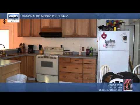 17328 PALM DR, Montverde, FL 34756