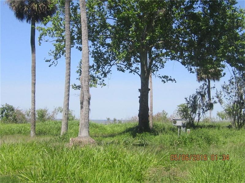 17016 ELDERBERRY DRIVE, Montverde, FL 34756