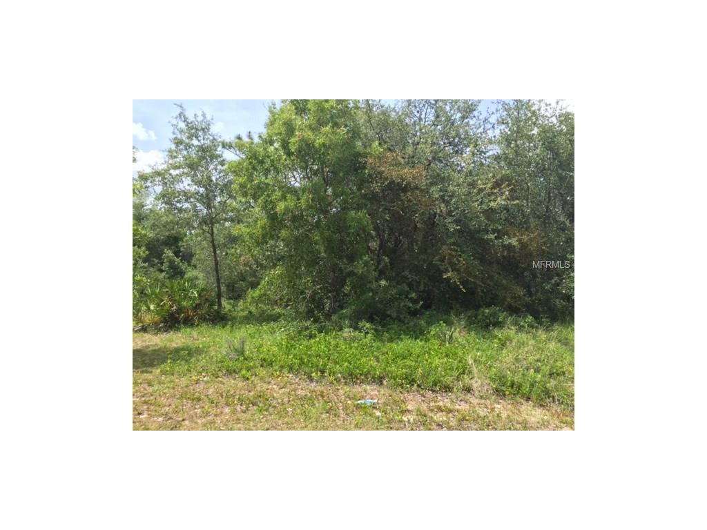317 Salmon Ct, Poinciana, FL 34759