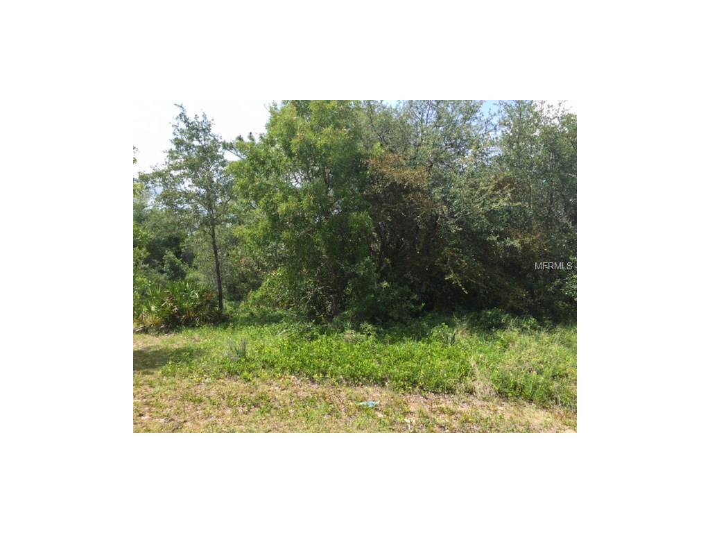 317 Salmon Ct, Poinciana, FL 34759