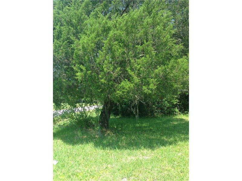 624 E 19TH STREET, Saint Cloud, FL 34769