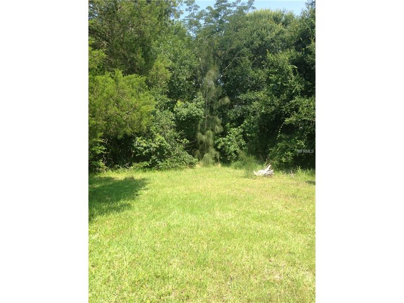 624 E 19TH STREET, Saint Cloud, FL 34769
