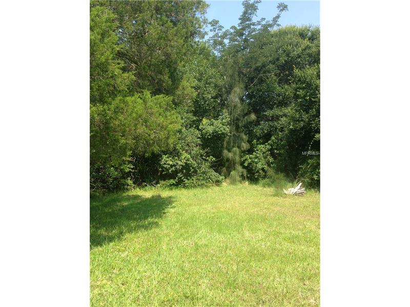 624 E 19TH STREET, Saint Cloud, FL 34769