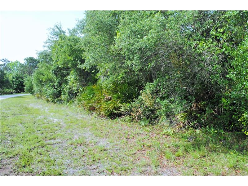 ELDORADO COURT, Saint Cloud, FL 34771