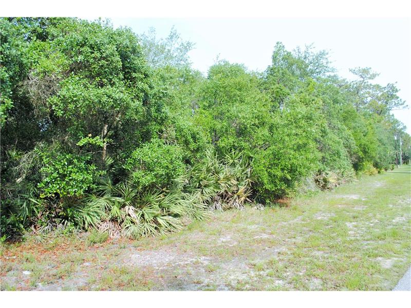 ELDORADO COURT, Saint Cloud, FL 34771