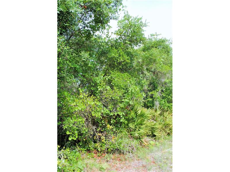 ELDORADO COURT, Saint Cloud, FL 34771