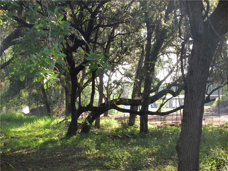 SOUTH SHORE DRIVE, Saint Cloud, FL 34771