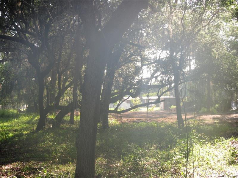 SOUTH SHORE DRIVE, Saint Cloud, FL 34771