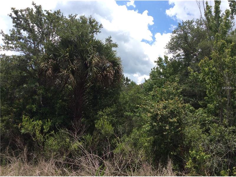 E IRLO BRONSON MEM HIGHWAY, Saint Cloud, FL 34771