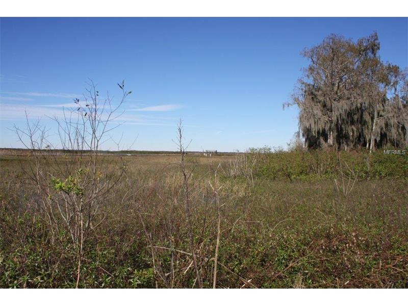 2930 TOHOPEKALIGA DRIVE, Saint Cloud, FL 34772