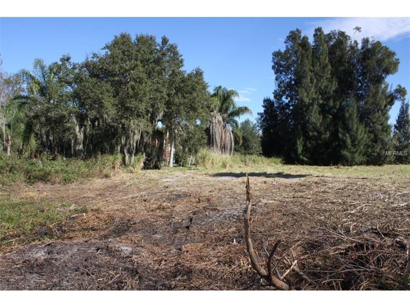 2930 TOHOPEKALIGA DRIVE, Saint Cloud, FL 34772