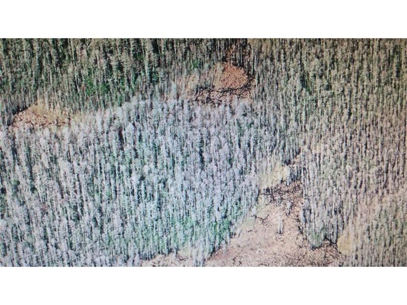 HOLOPAW GROVES ROAD, Saint Cloud, FL 34773