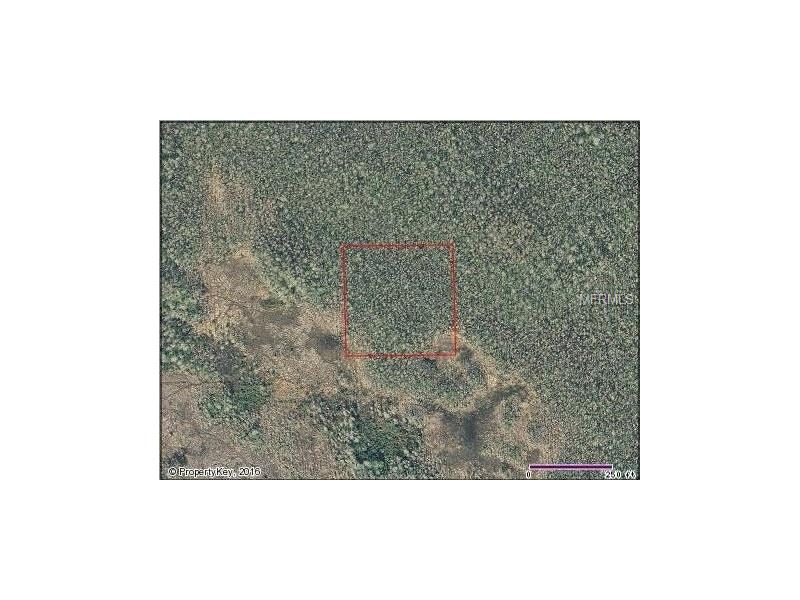 HOLOPAW GROVES ROAD, Saint Cloud, FL 34773