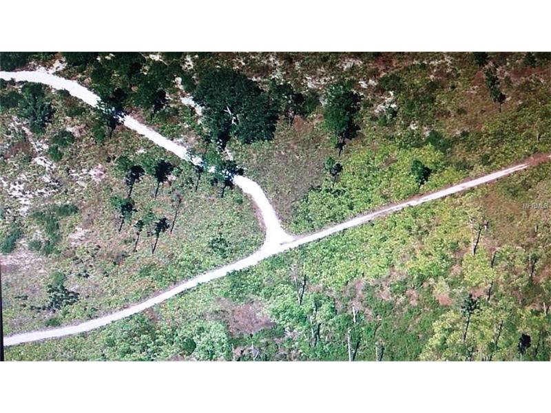 HOLOPAW GROVES ROAD, Saint Cloud, FL 34773