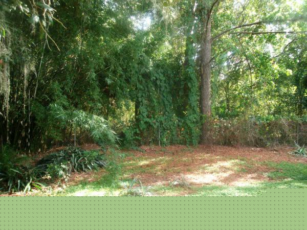 2837 MAIN STREET ,FL, Wildwood, 34785