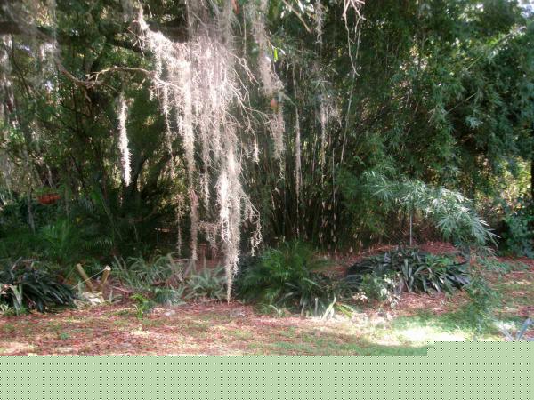 2837 MAIN STREET ,FL, Wildwood, 34785