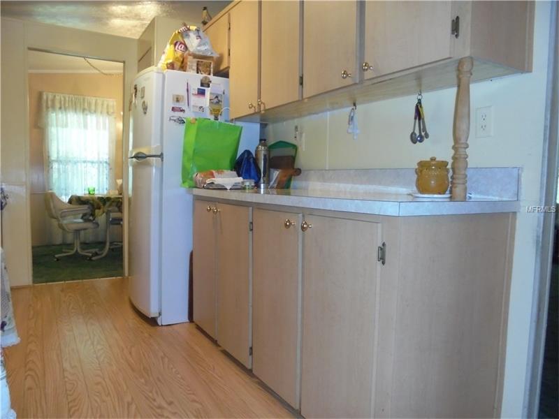 11Robin Rd, Wildwood, FL 34785