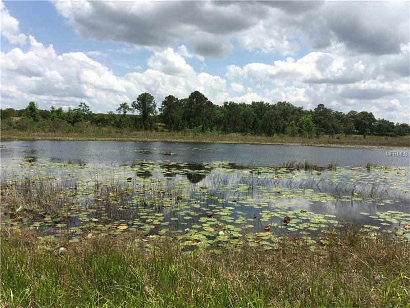 17012 LAKE INGRAM ROAD, Winter Garden, FL 34787