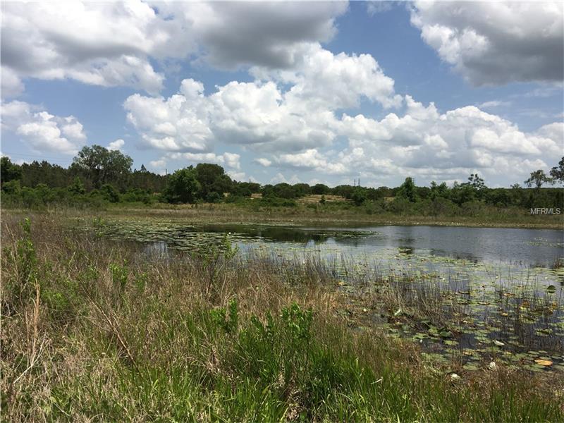 17012 LAKE INGRAM ROAD, Winter Garden, FL 34787