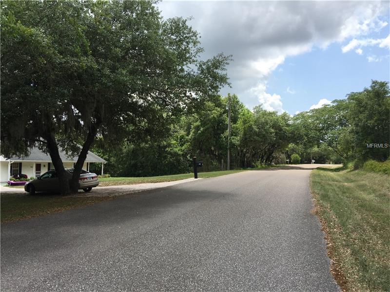 17012 LAKE INGRAM ROAD, Winter Garden, FL 34787