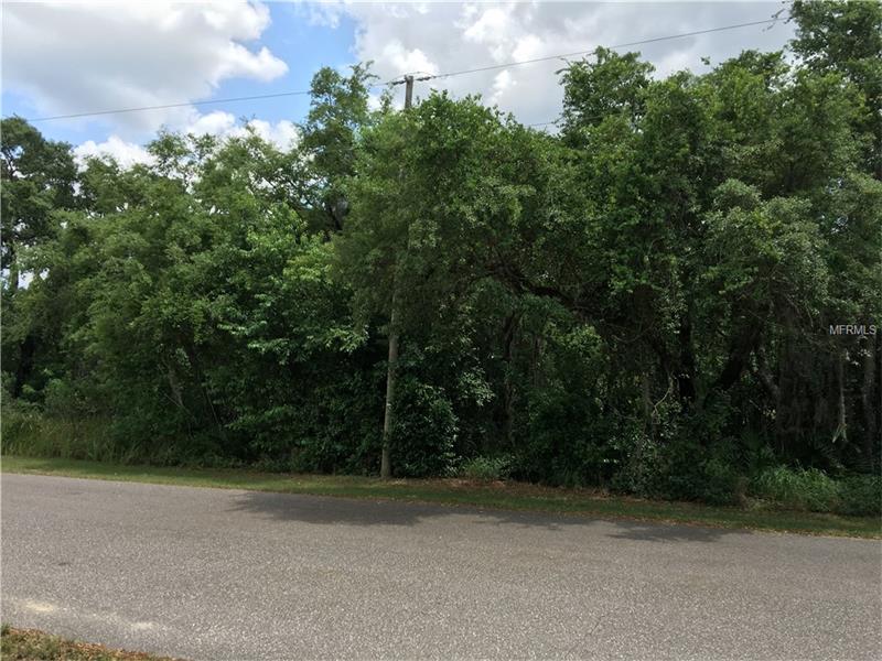 17012 LAKE INGRAM ROAD, Winter Garden, FL 34787