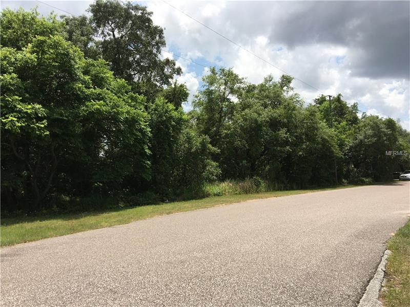 17012 LAKE INGRAM ROAD, Winter Garden, FL 34787