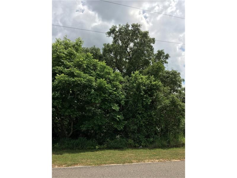 17012 LAKE INGRAM ROAD, Winter Garden, FL 34787