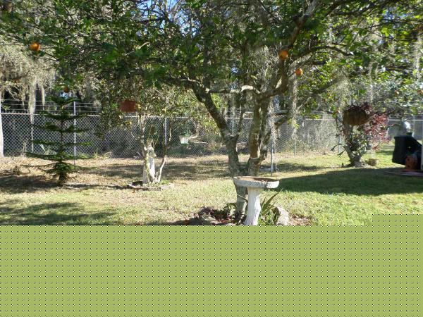 Lakeside Village2781 MAIN STREETLeesburg, FL 34788