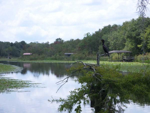 Mid Florida Lakes2684 MAIN STREETLeesburg, FL 34788