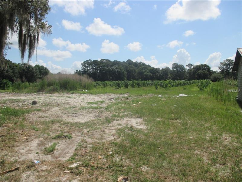 35200 DENNIS ROAD, Leesburg, FL 34788