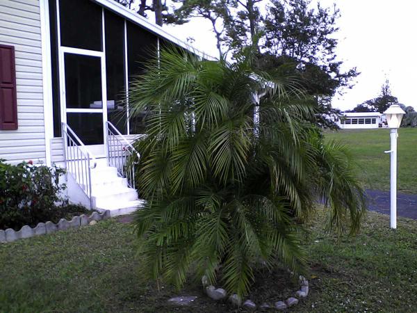 Tall Pines Mobile Home Community303 Ottawa CircleFort Pierce, FL 34946