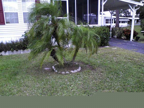 Tall Pines Mobile Home Community303 Ottawa CircleFort Pierce, FL 34946