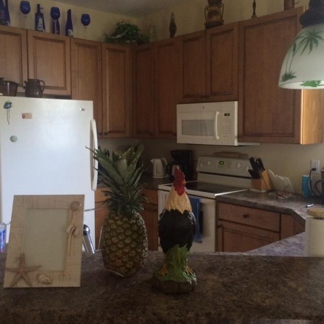 205 Shelley Lane, Hutchinson Island, FL 34949