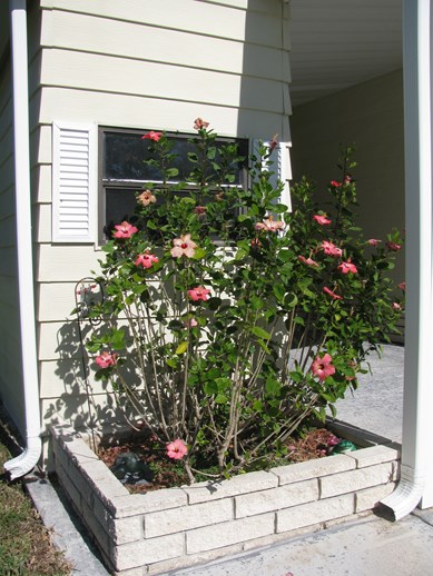 Spanish Lakes Country Club27 La Puerte del NorteFort Pierce, FL 34951