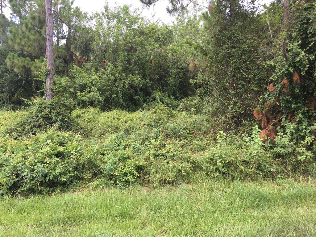 1489 SW Gastador Avenue, Port Saint Lucie, FL 34953