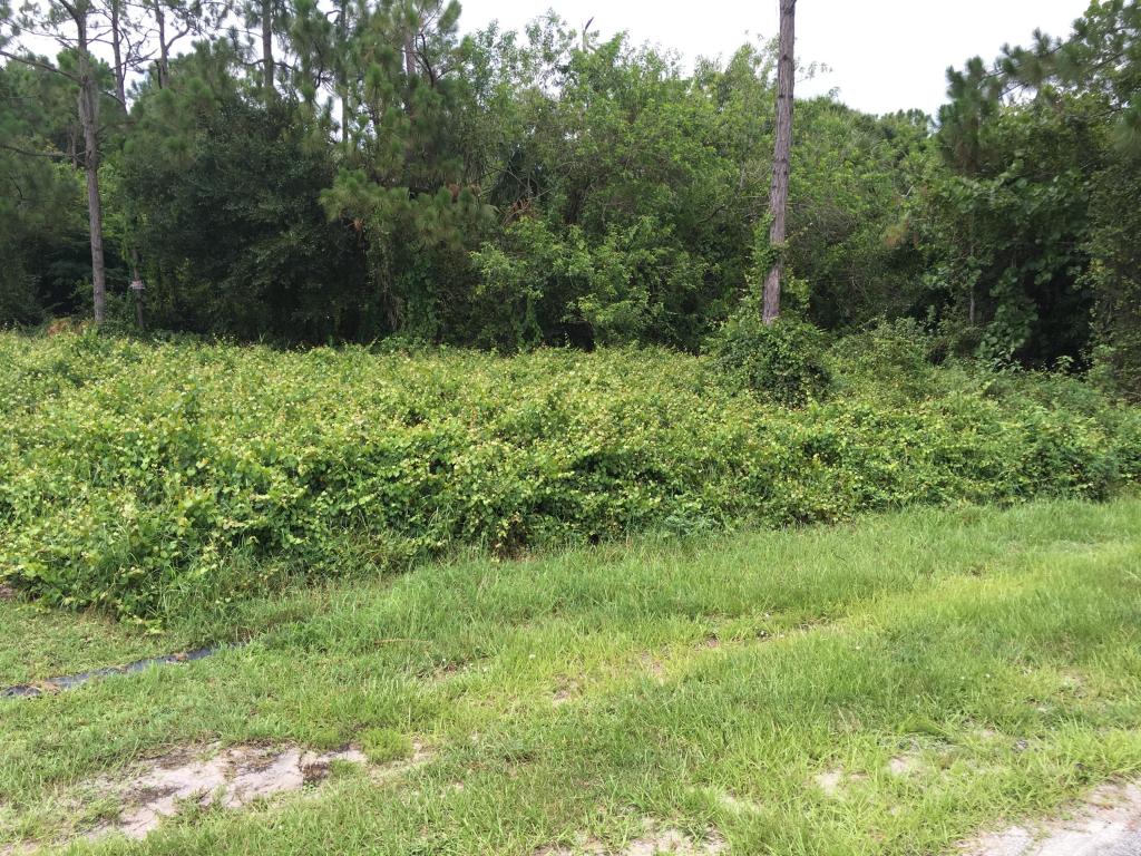 1489 SW Gastador Avenue, Port Saint Lucie, FL 34953