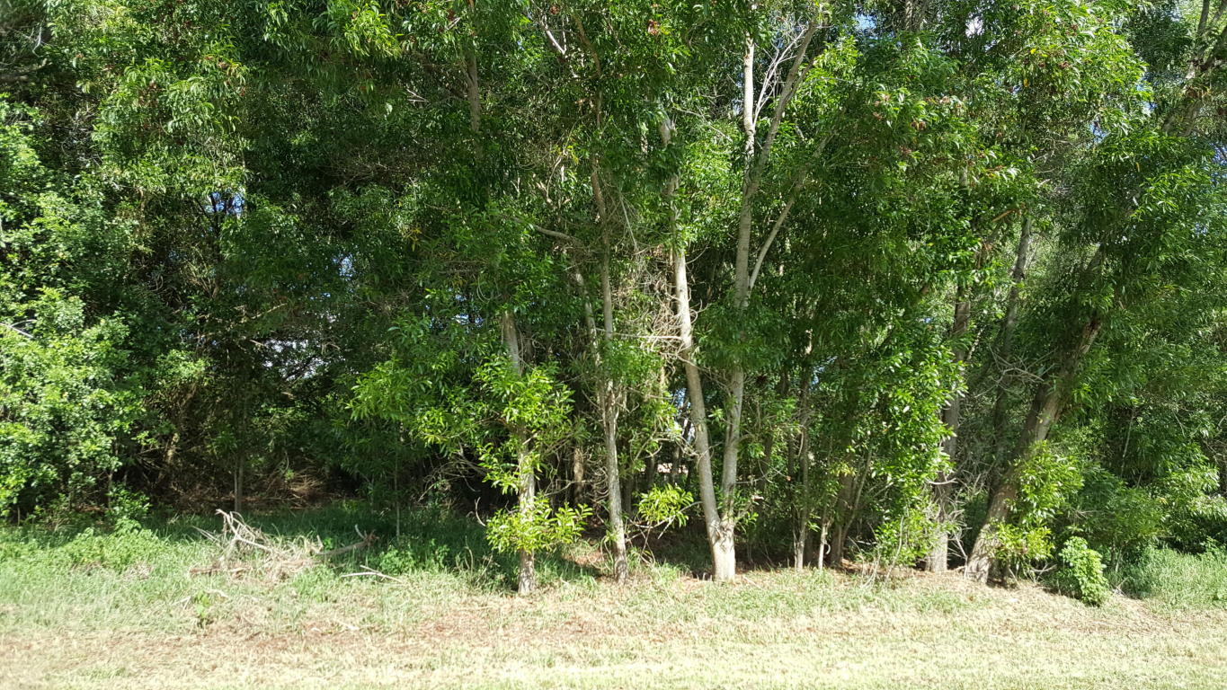 3026 SW Ann Arbor Road, Port Saint Lucie, FL 34953